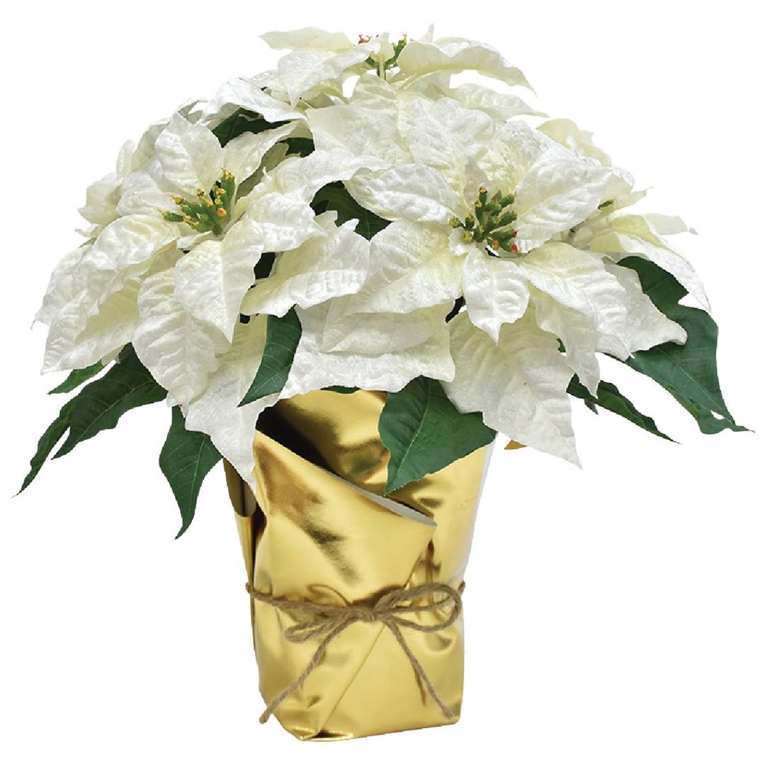 Product 916503