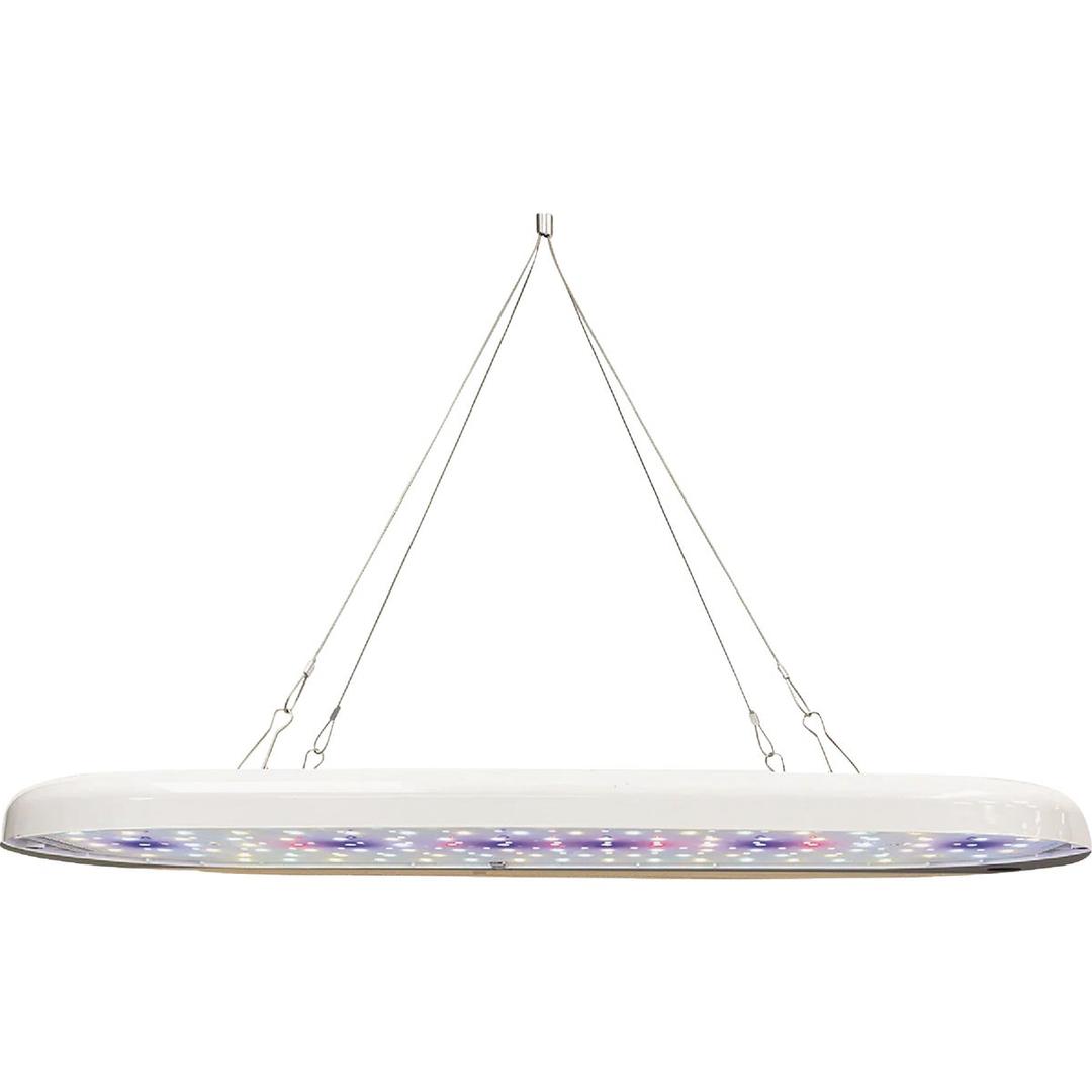 Product 723317