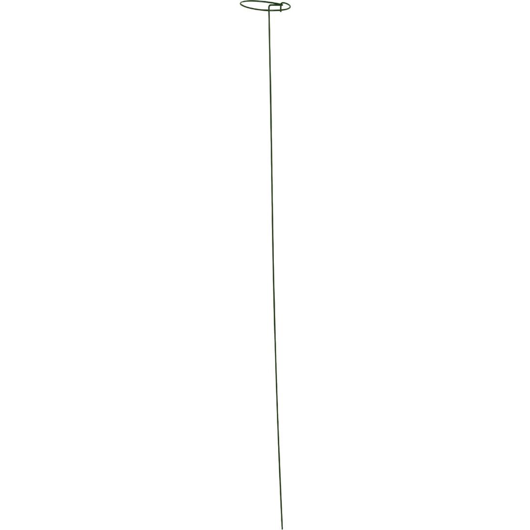 Product 730658