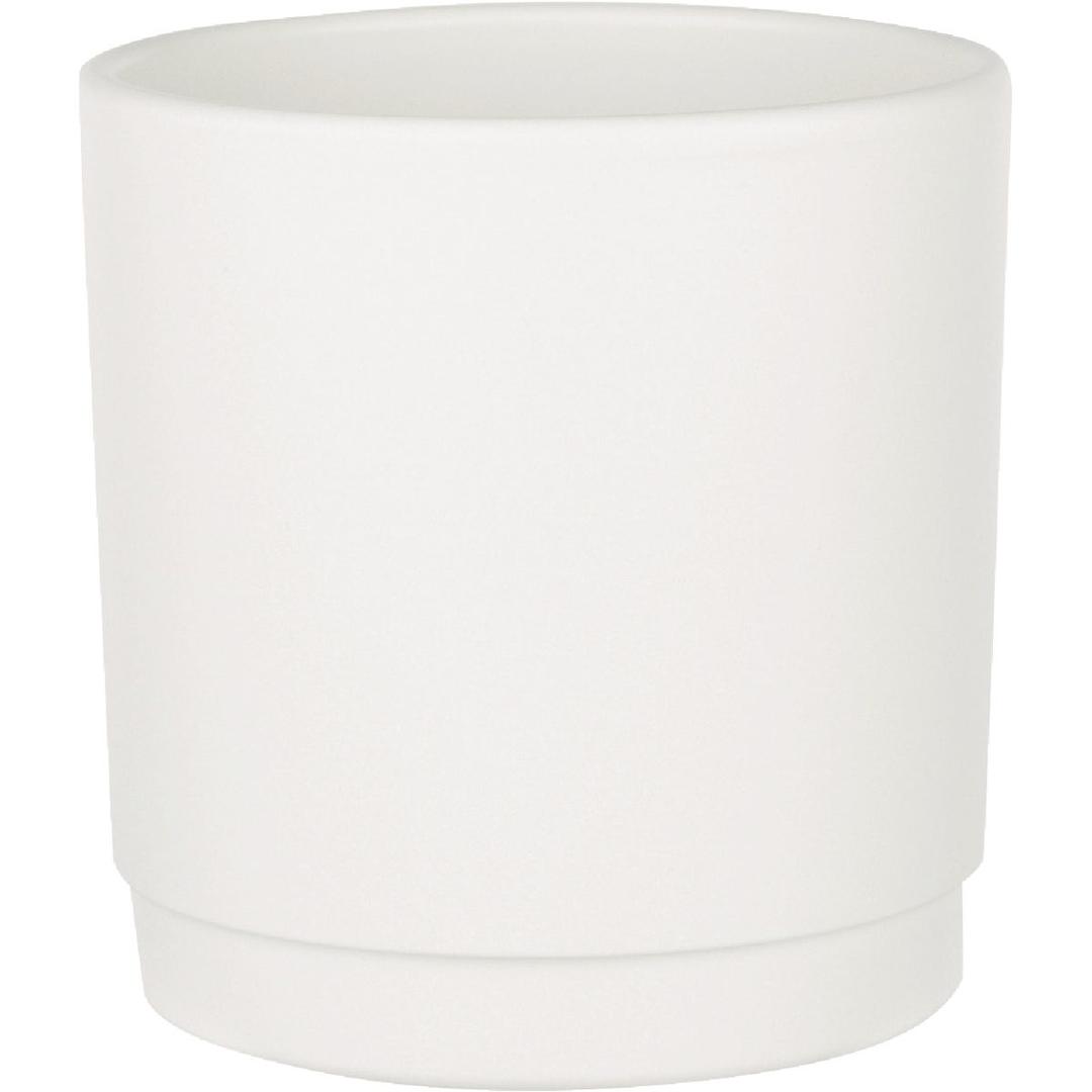 Product 753436