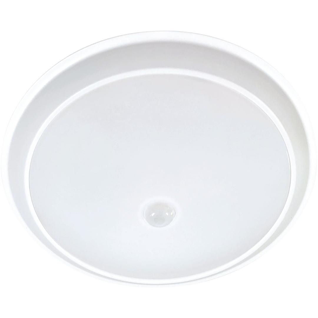 Product 527712