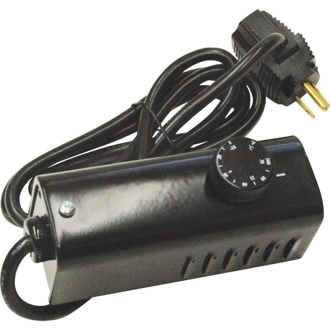 Product 453921