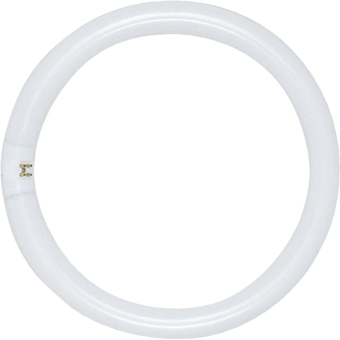 Product 502067