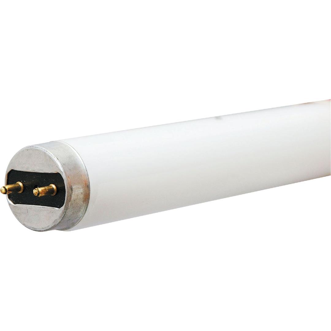 Product 516957