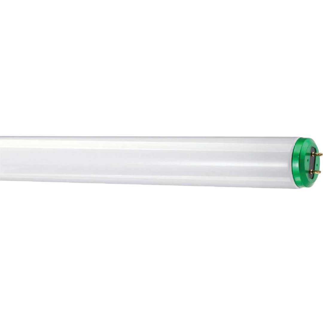 Product 564603