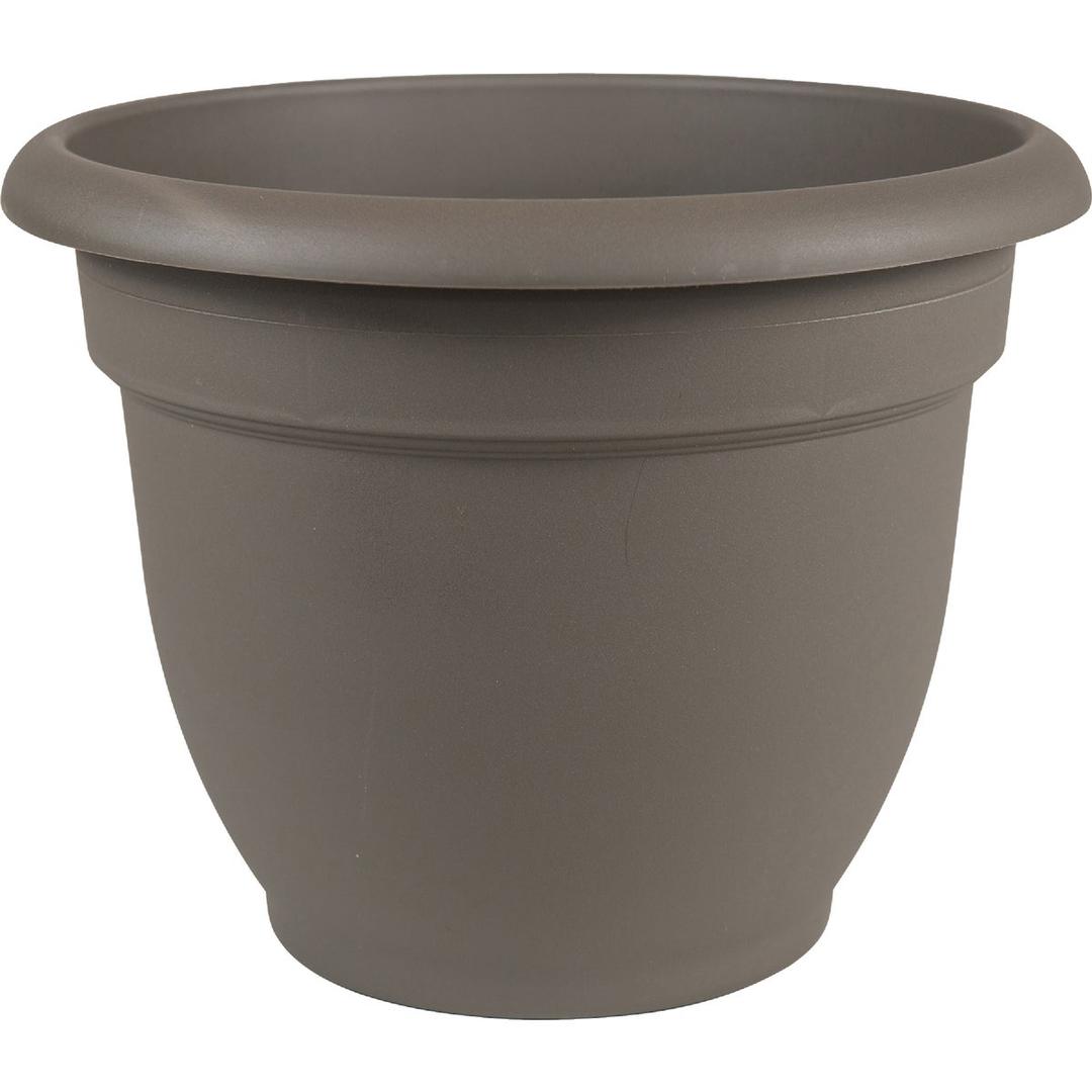 Product 703599