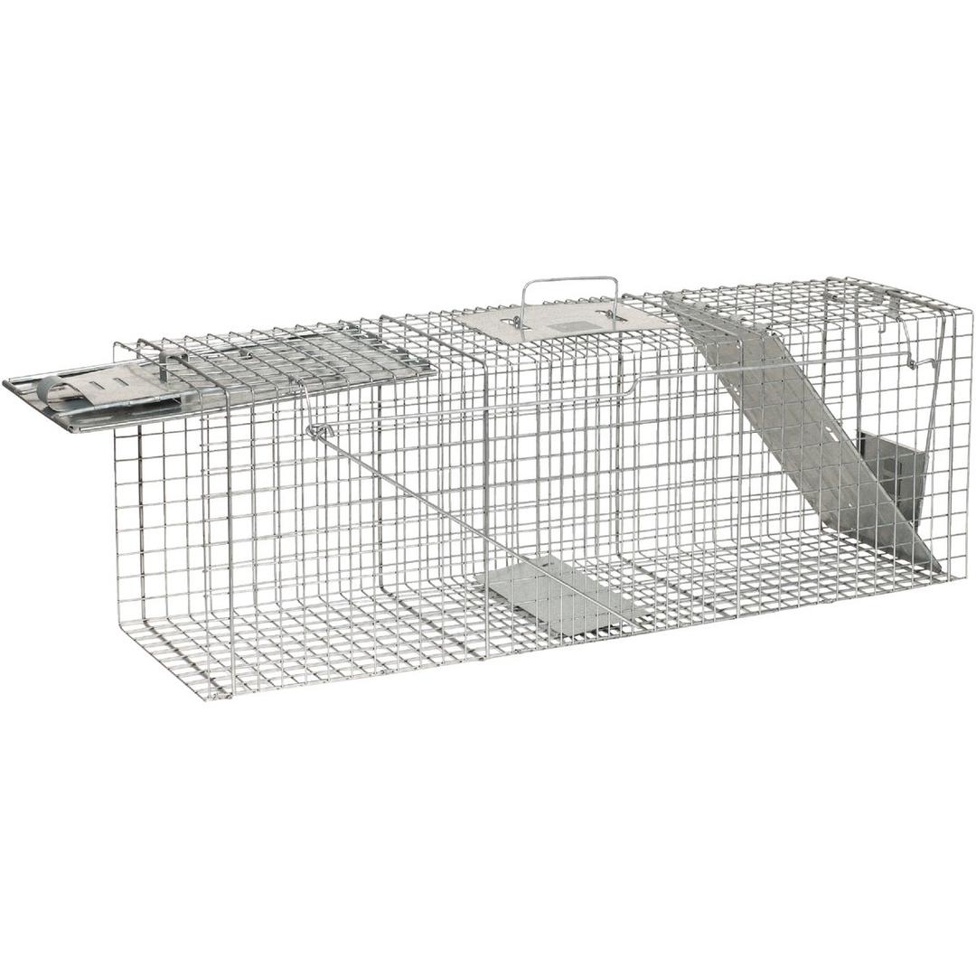 Product 704250