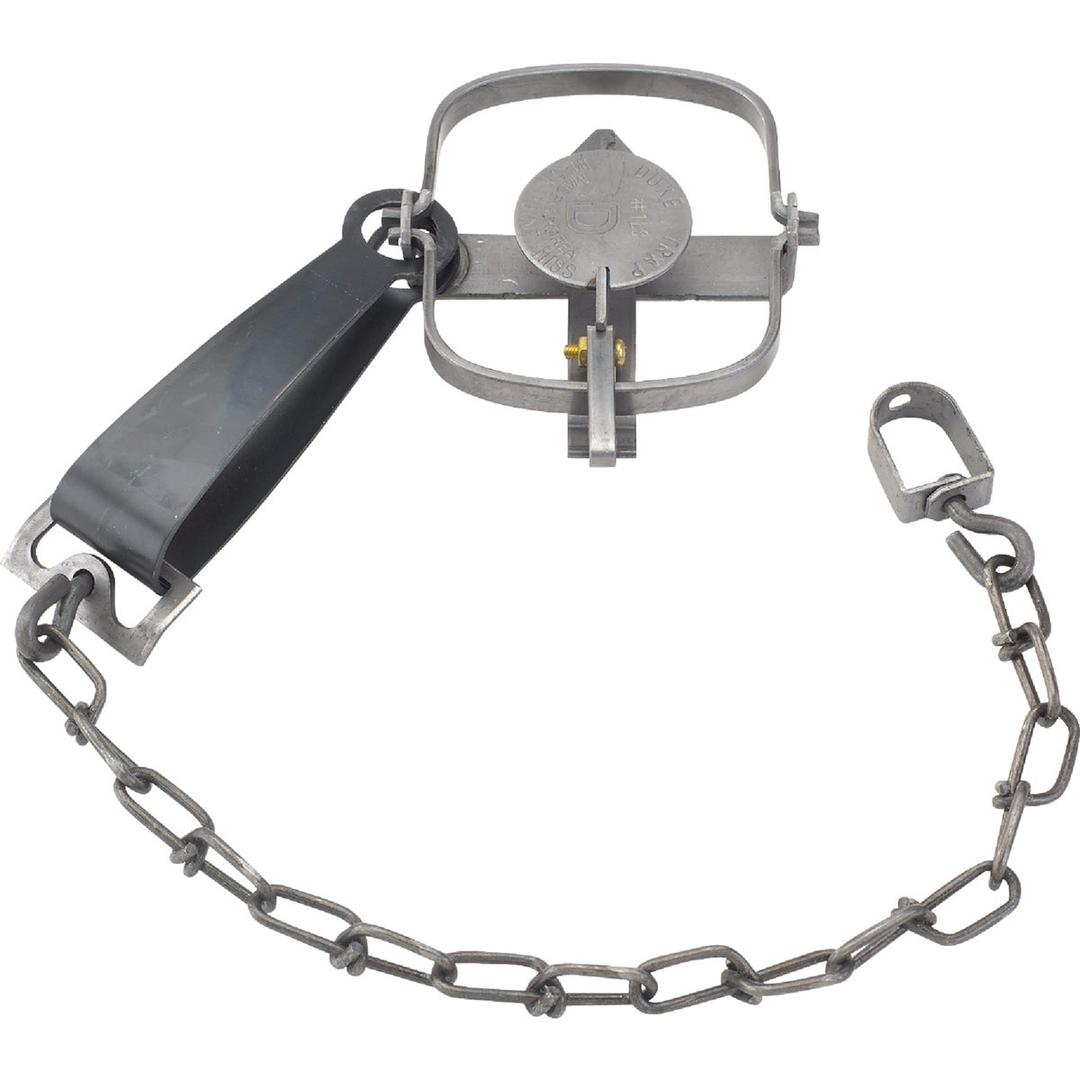 Product 813980