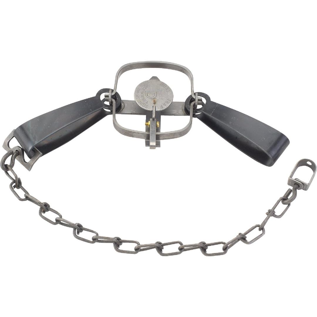 Product 813999