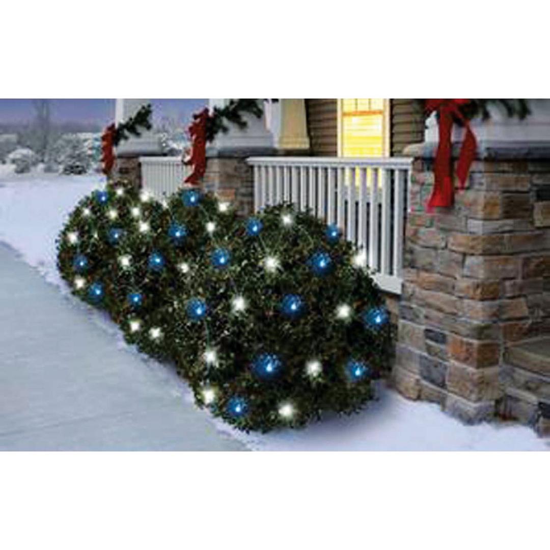 Product 900162