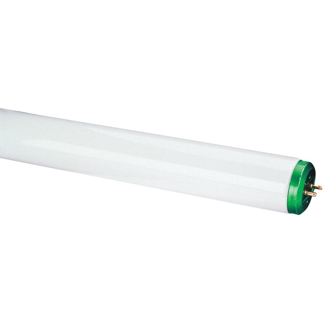 Product 545228