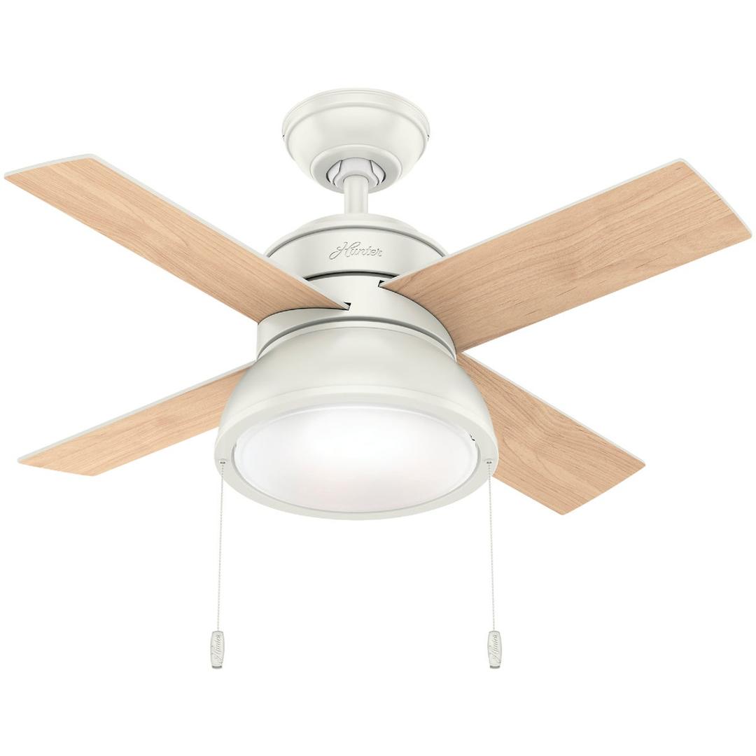 Product 534662