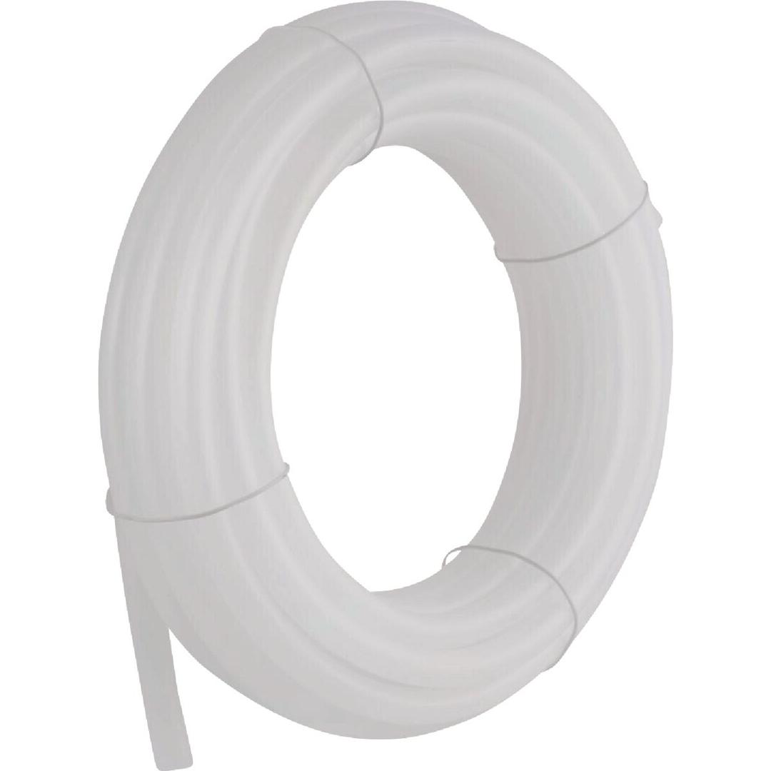 Product 479805