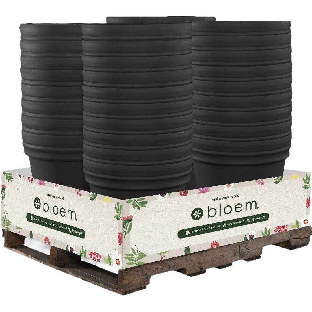 Product 748343