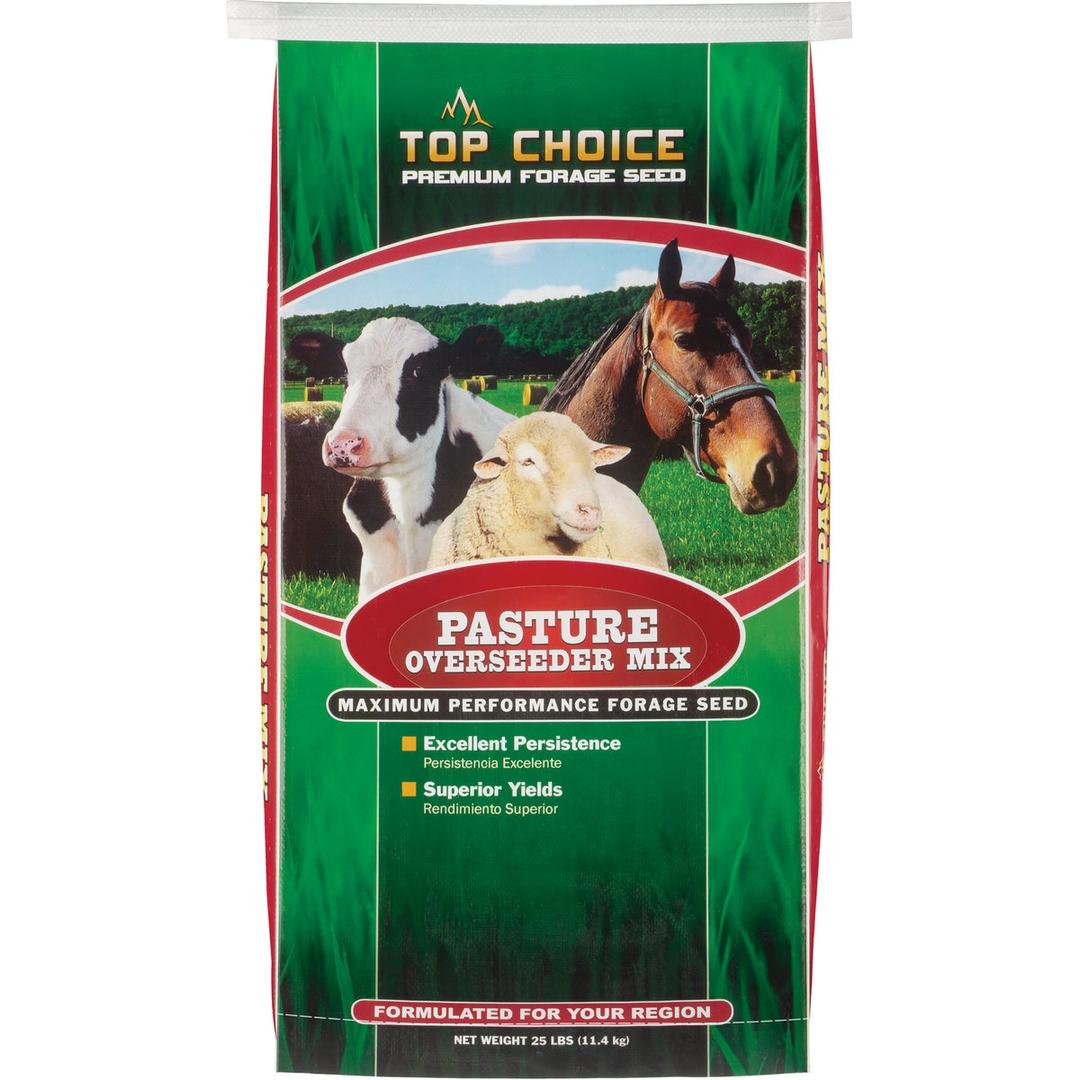 Product 737506