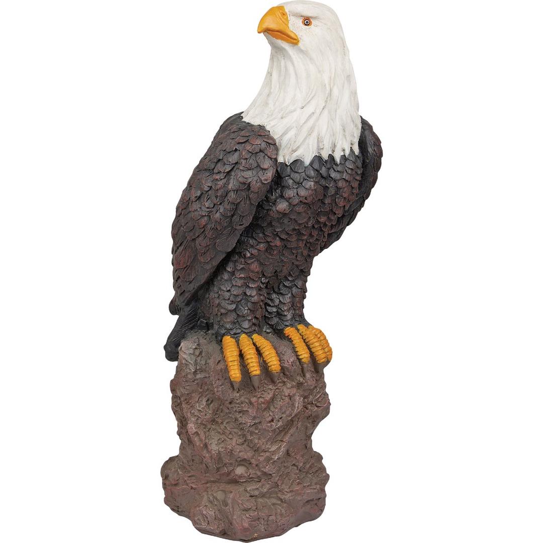 Product 806041