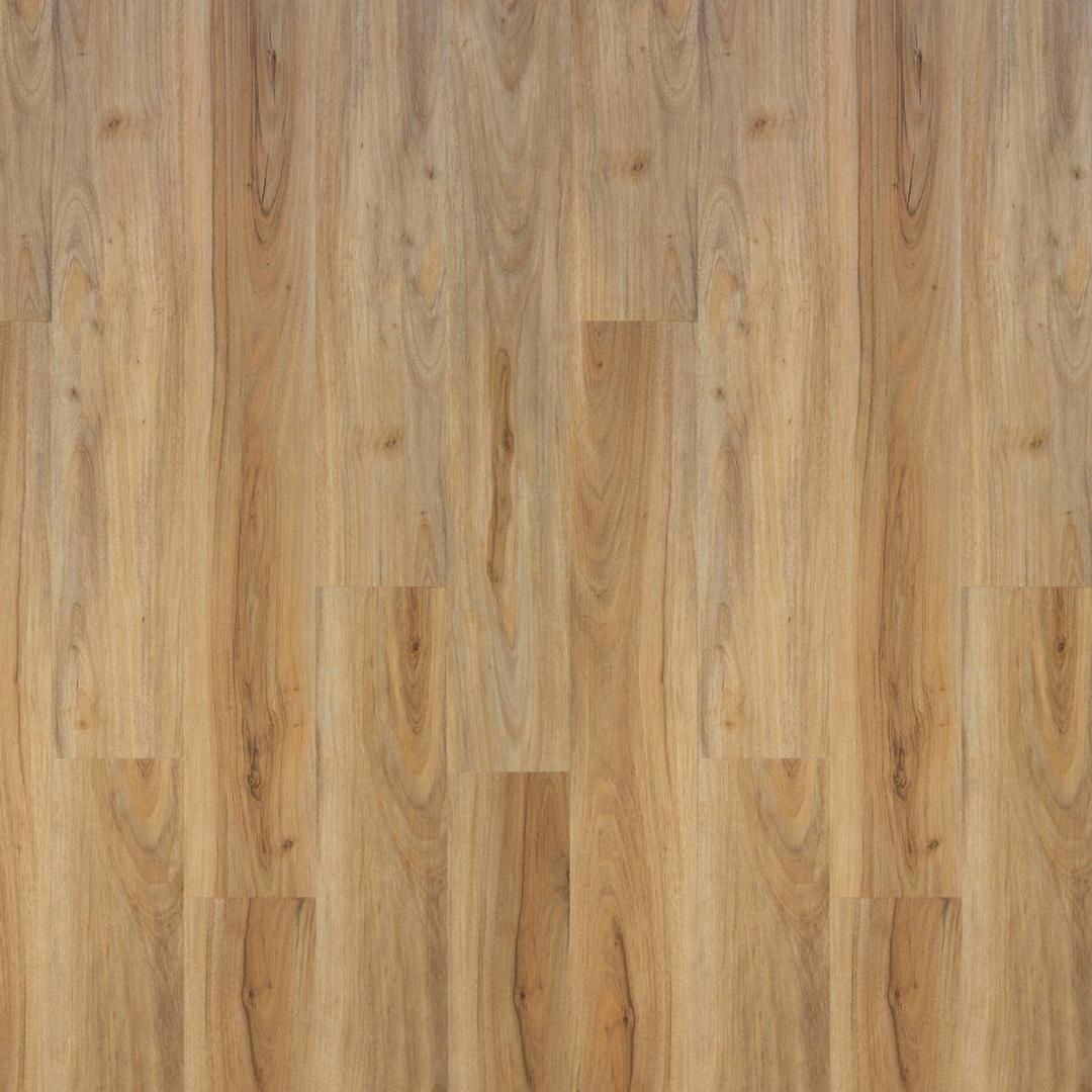 Product 263355