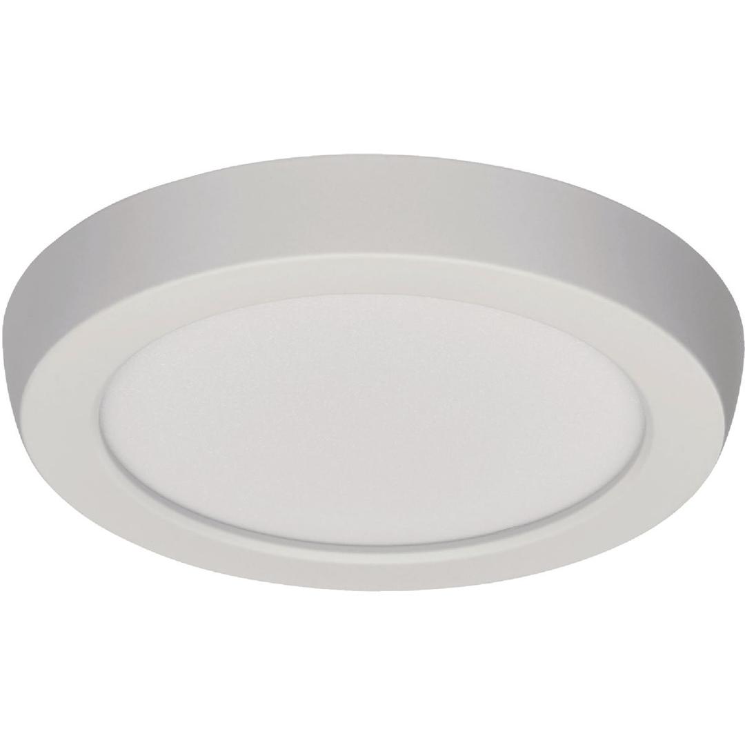 Product 551916