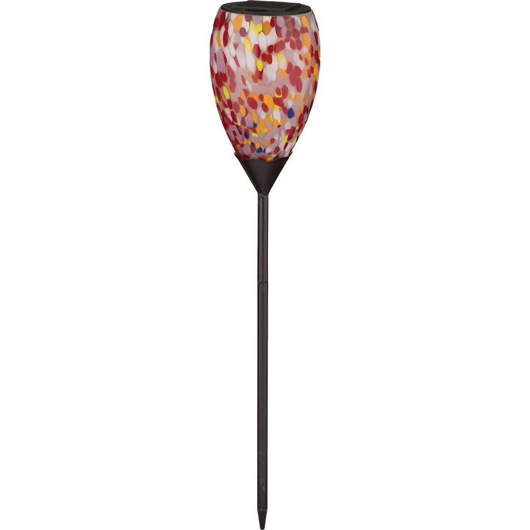 Product 813681