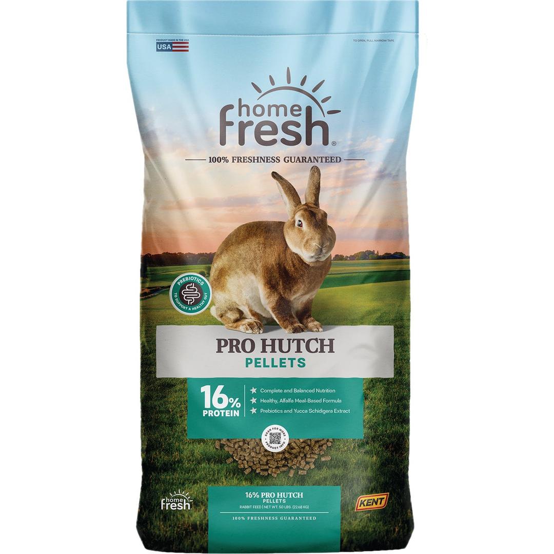 Product 748939