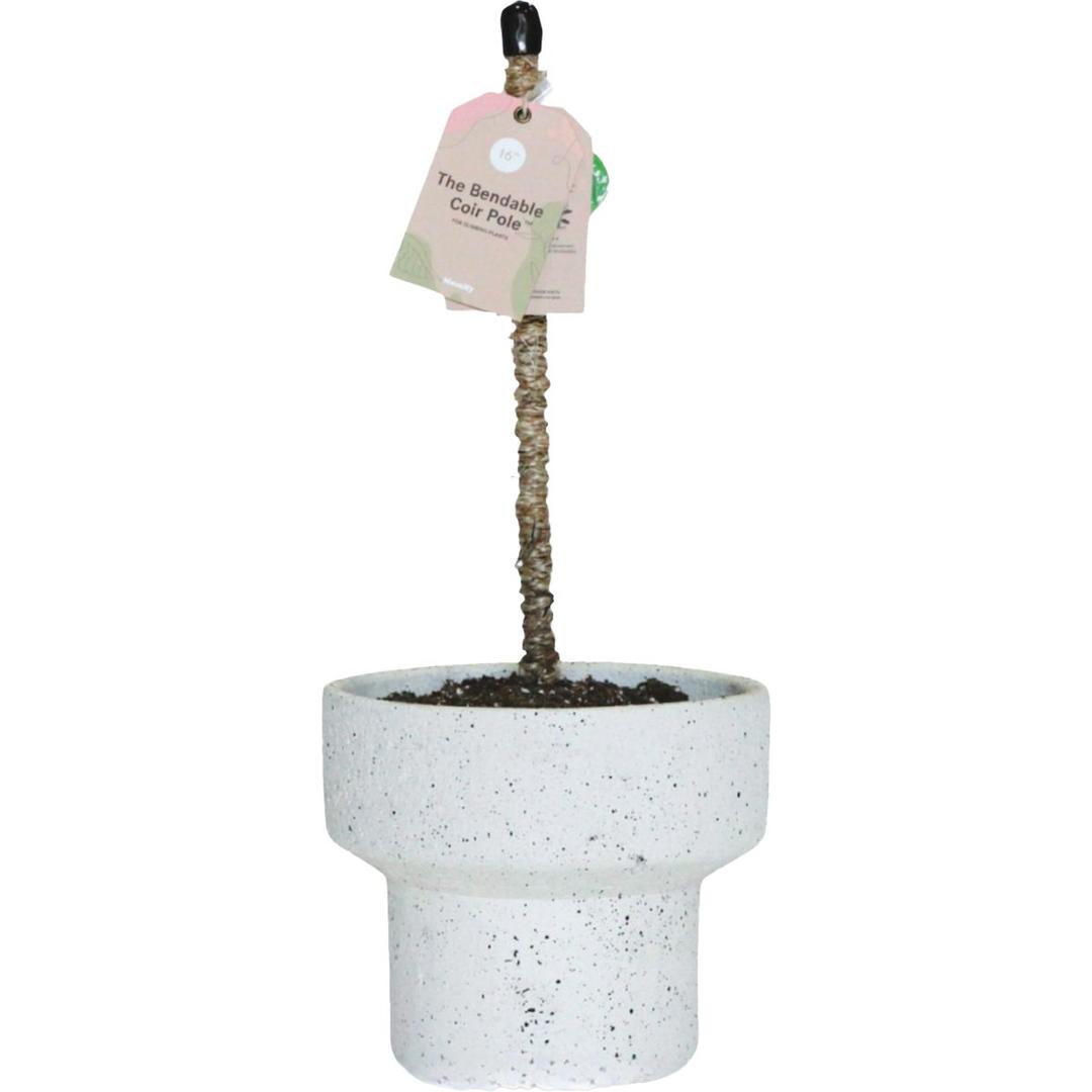 Product 732418