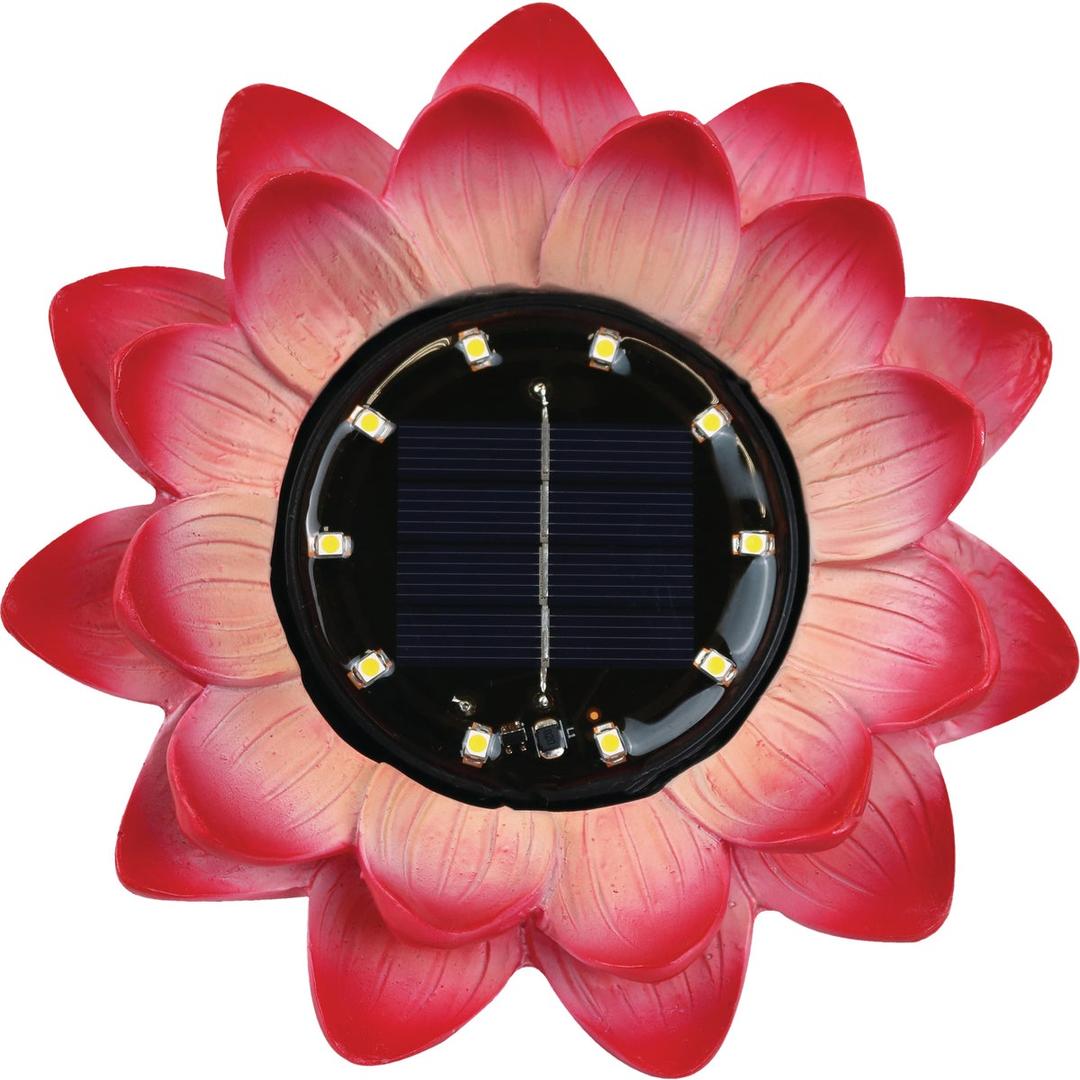 Product 864186