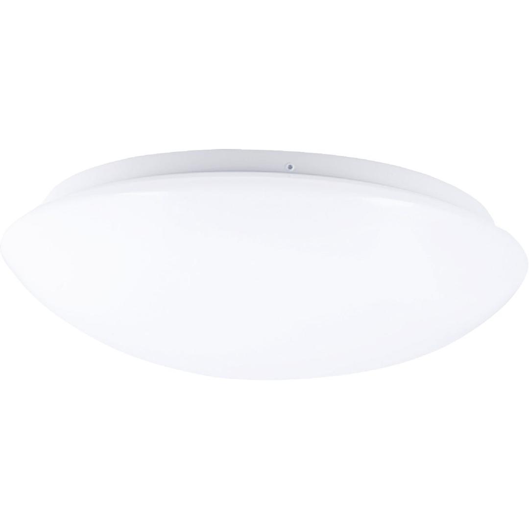 Product 533020
