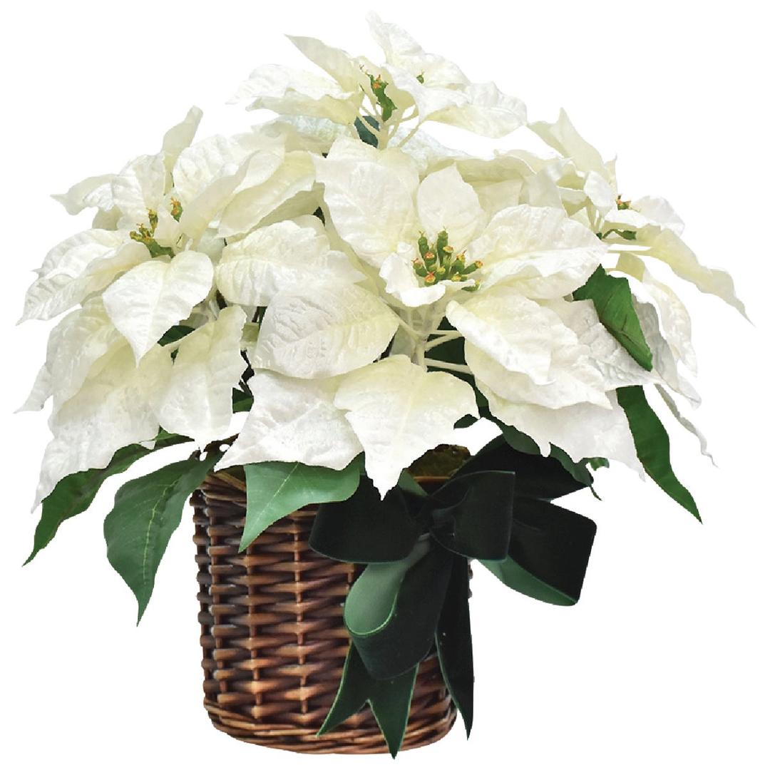 Product 901596