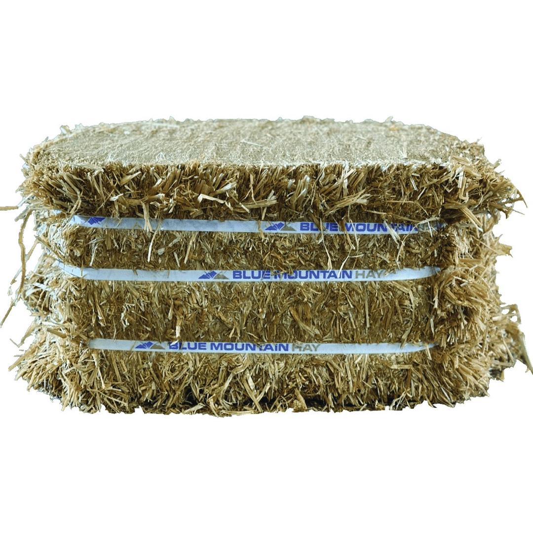Product 705961