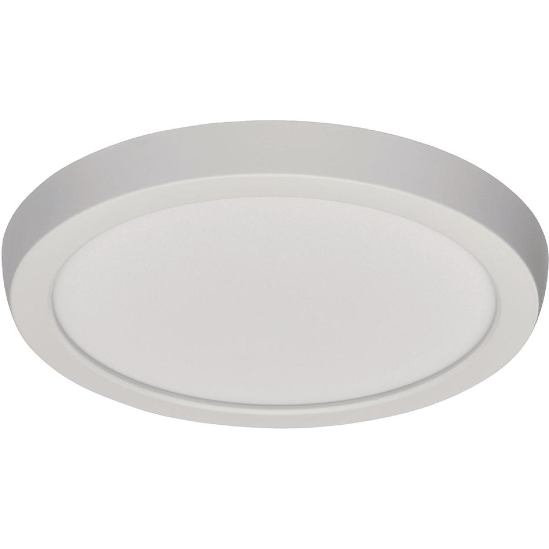 Product 556444