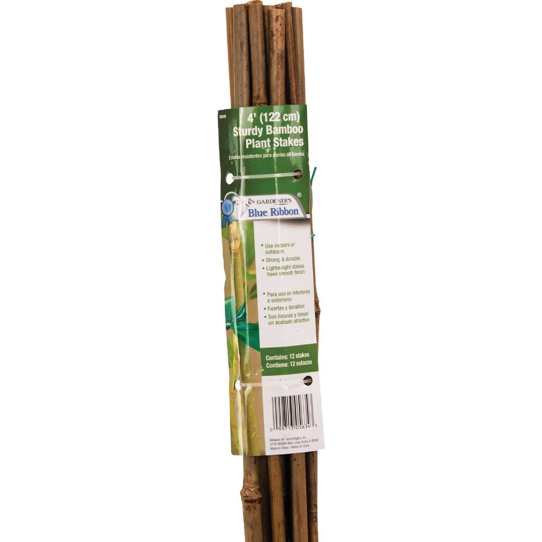 Product 743871