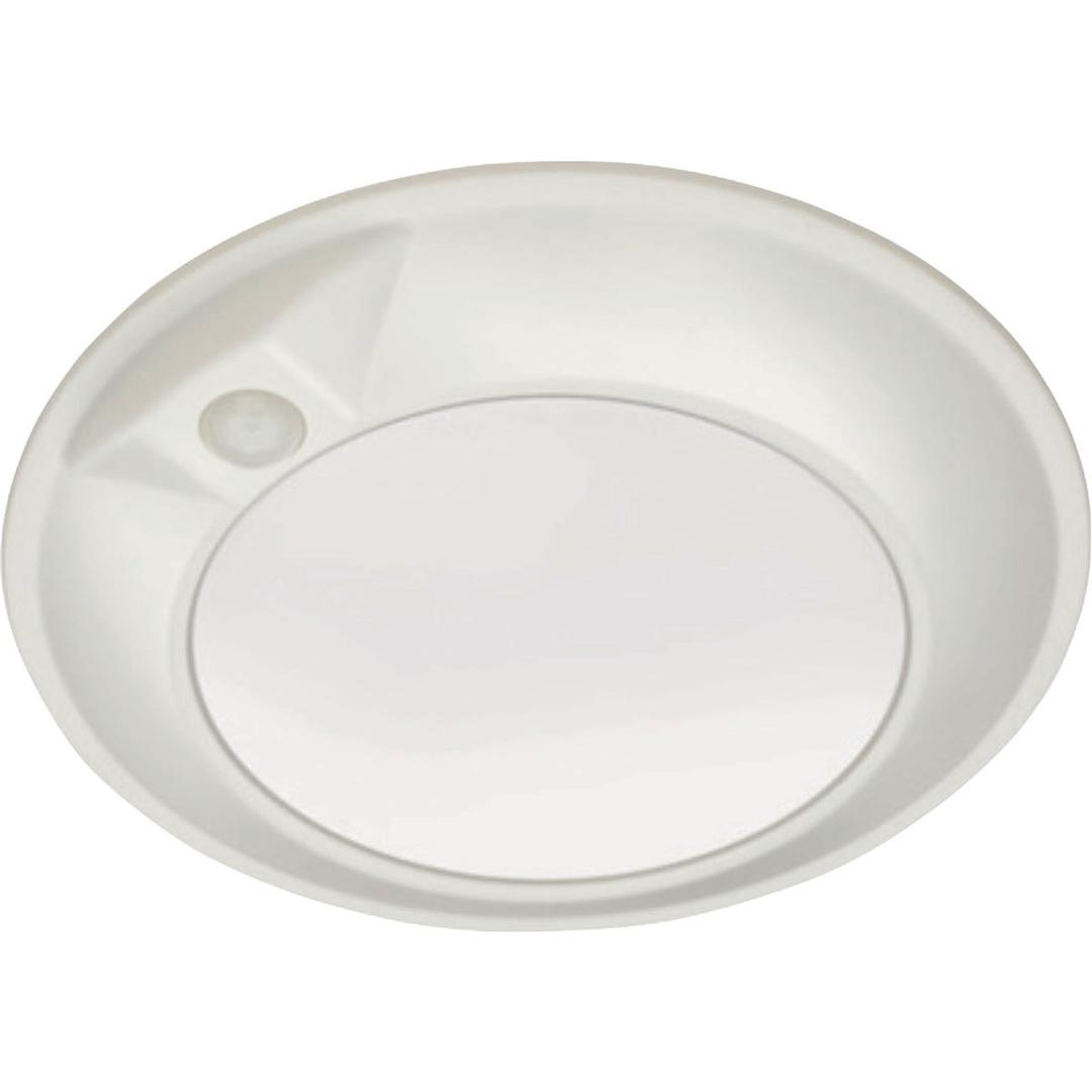 Product 513575