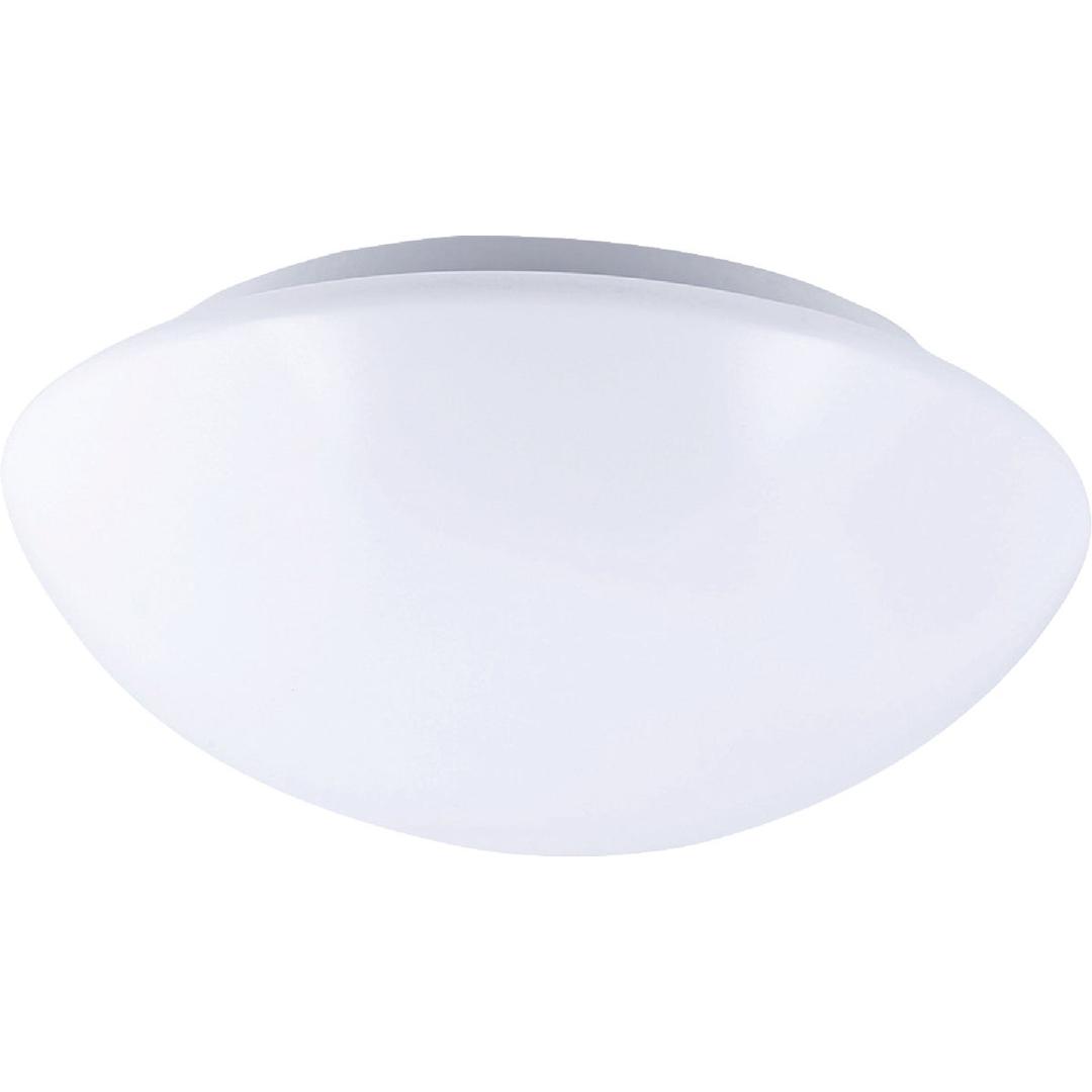 Product 529181