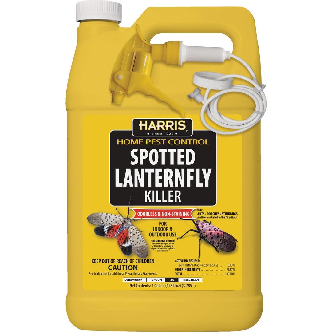 Product 738268