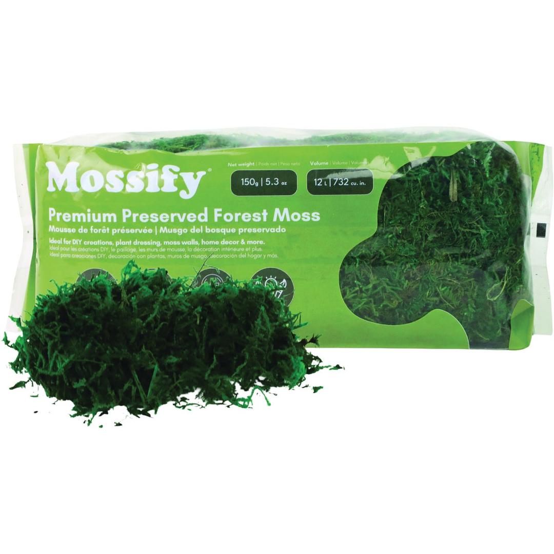 Product 758997