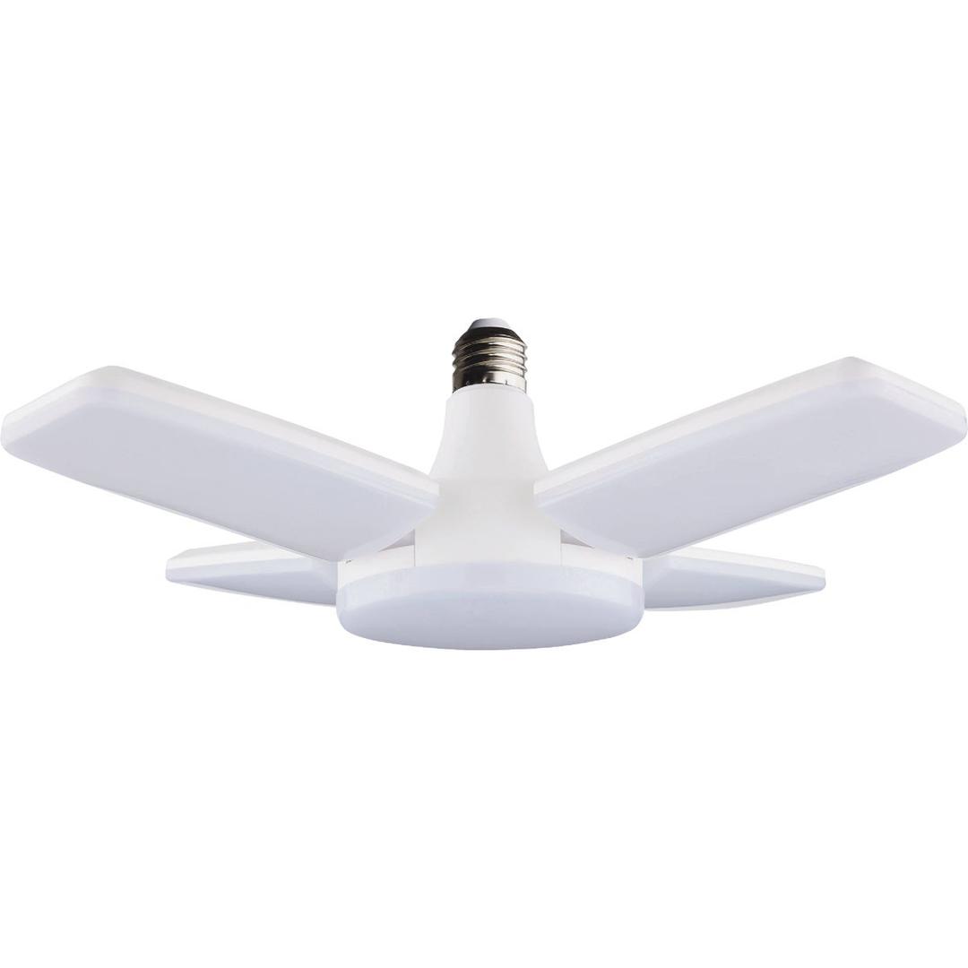 Product 549986