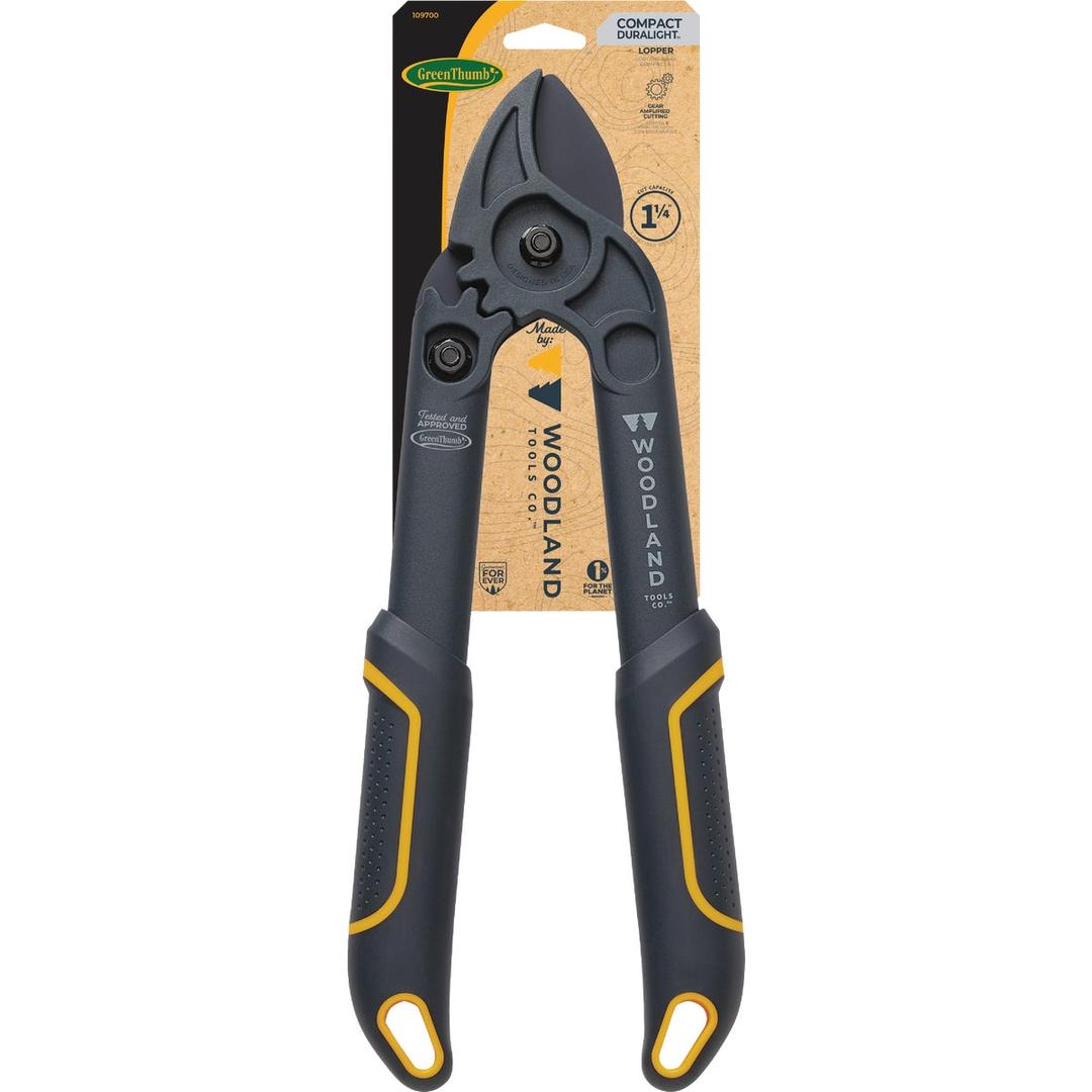Product 730905