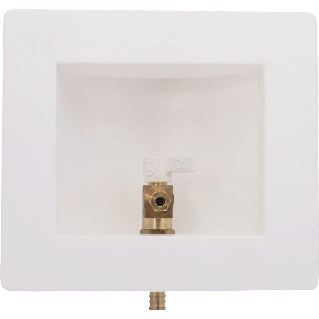 Product 436609