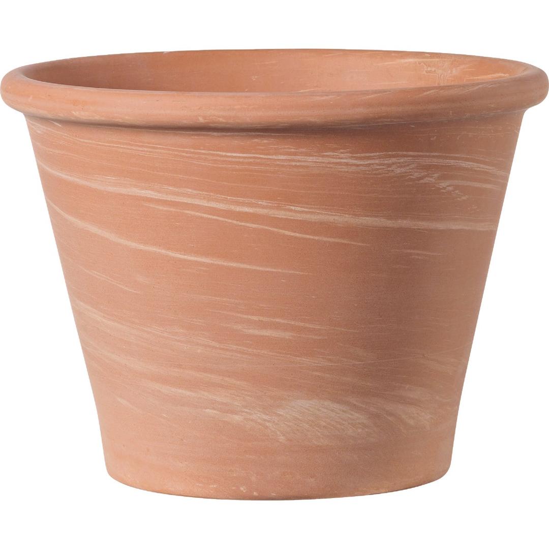 Product 729784