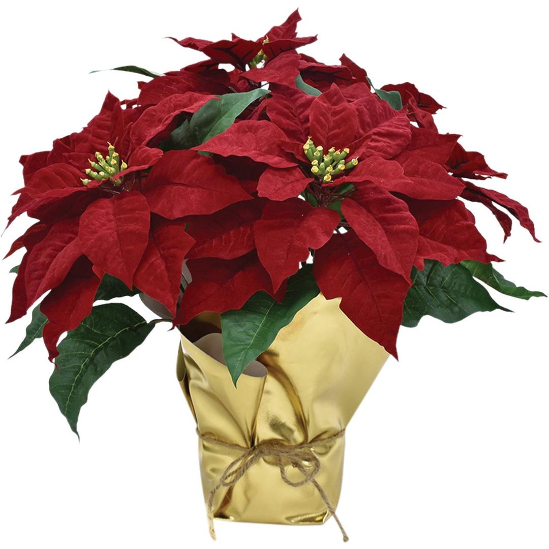 Product 910634
