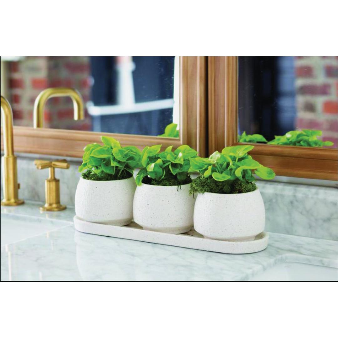 Product 736079