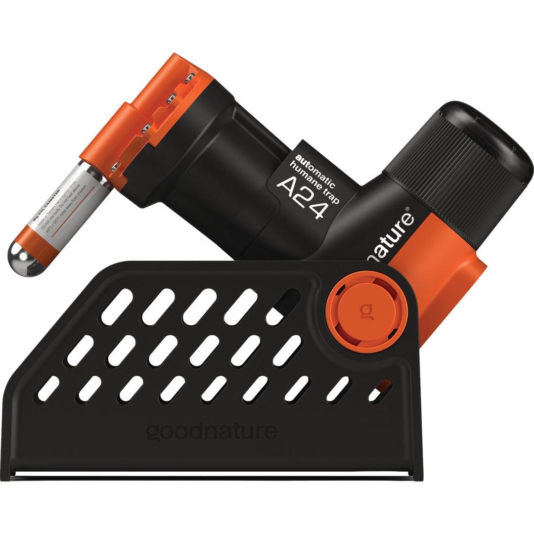 Product 762685