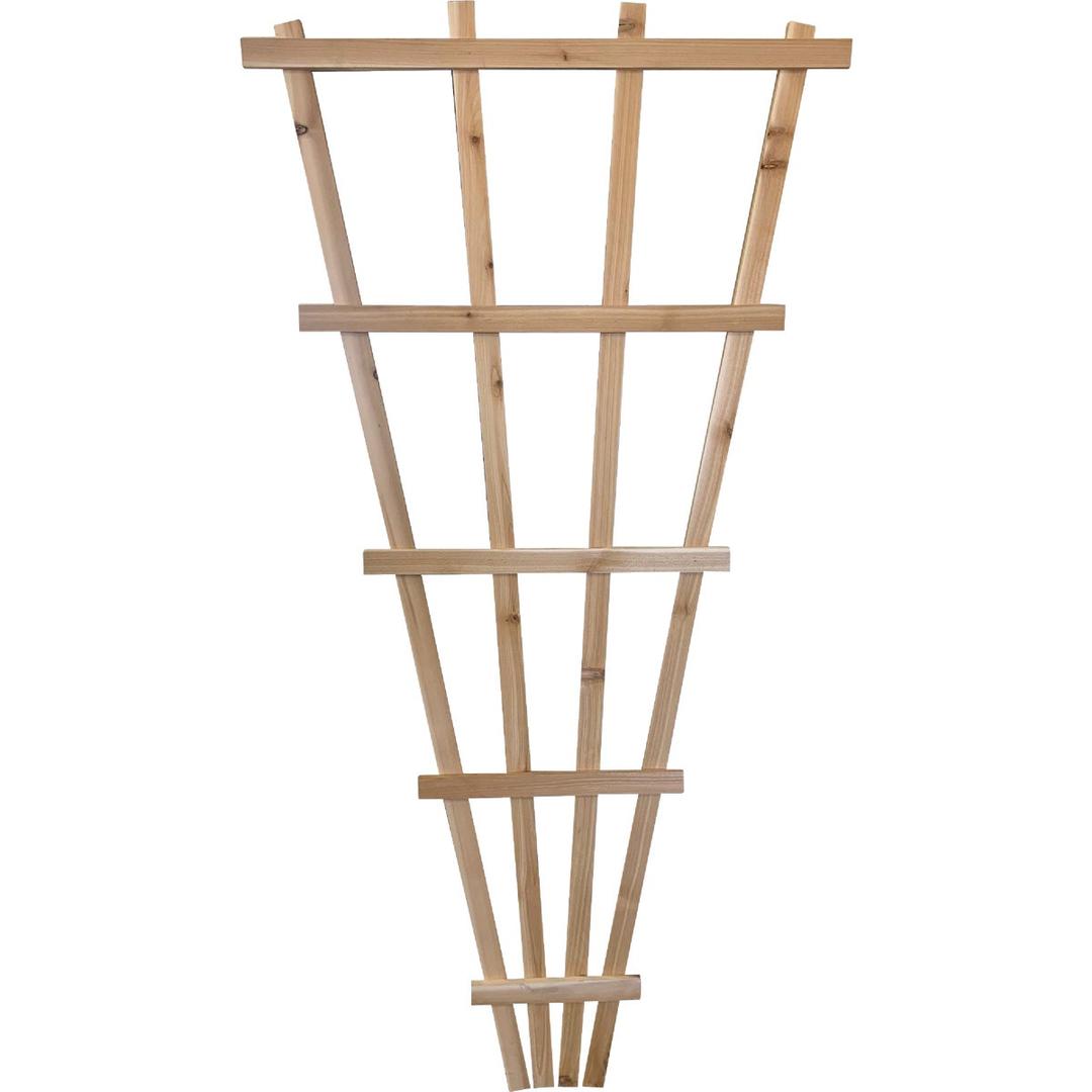 Product 725203