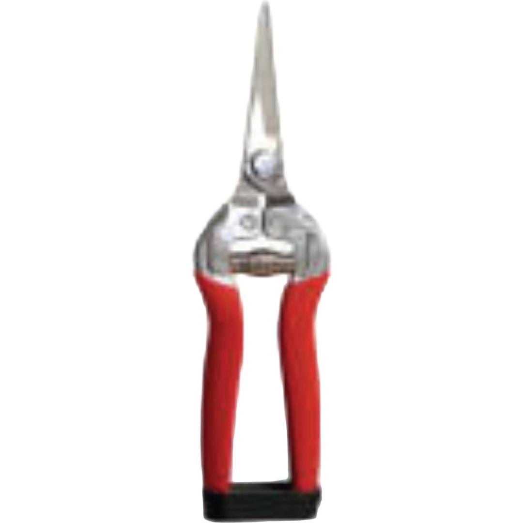 Product 728509