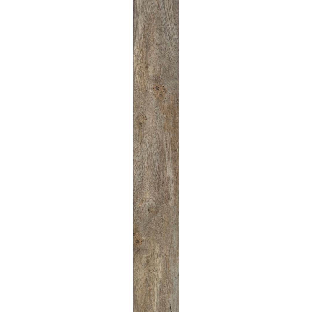 Product 272623