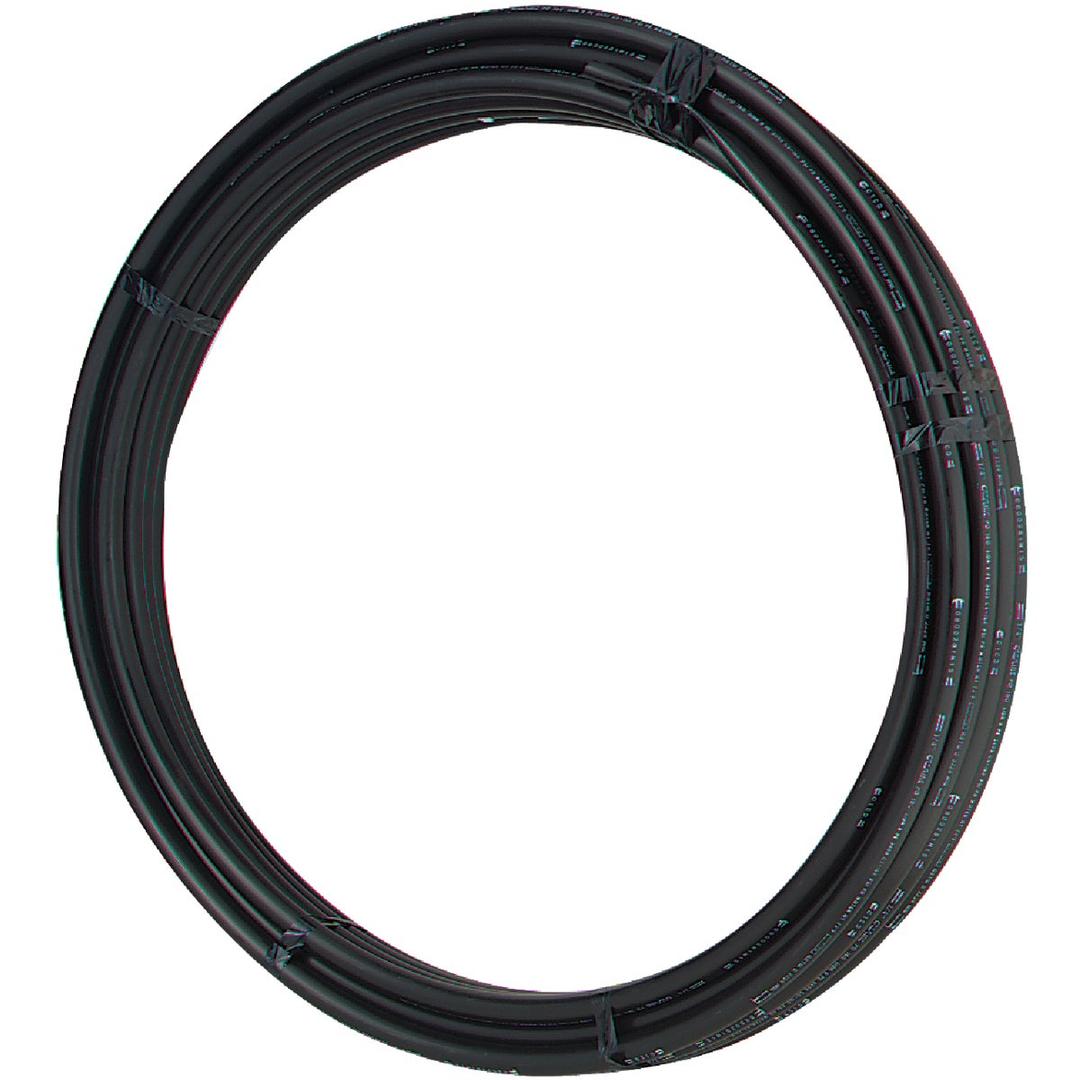 Product 401584