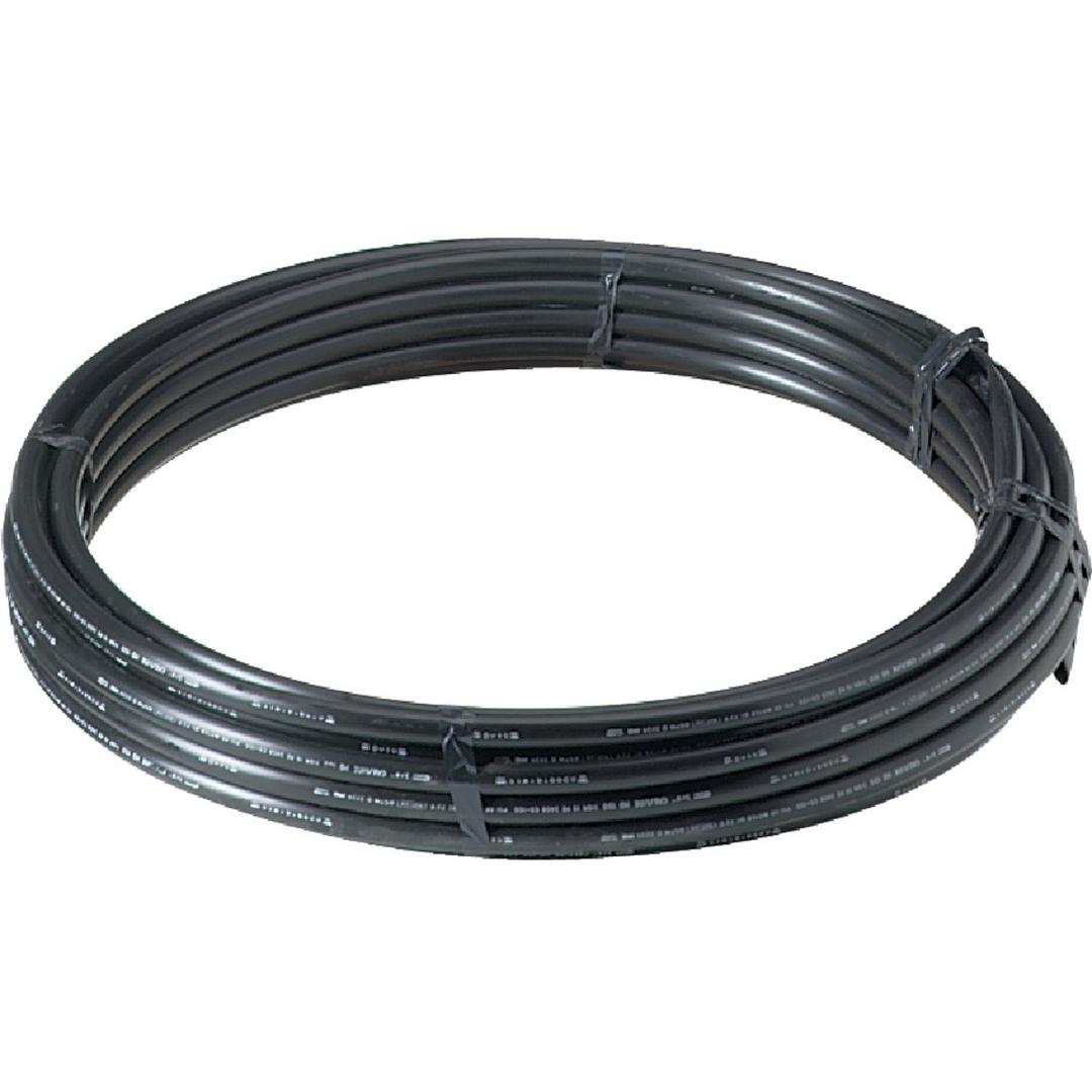Product 401592