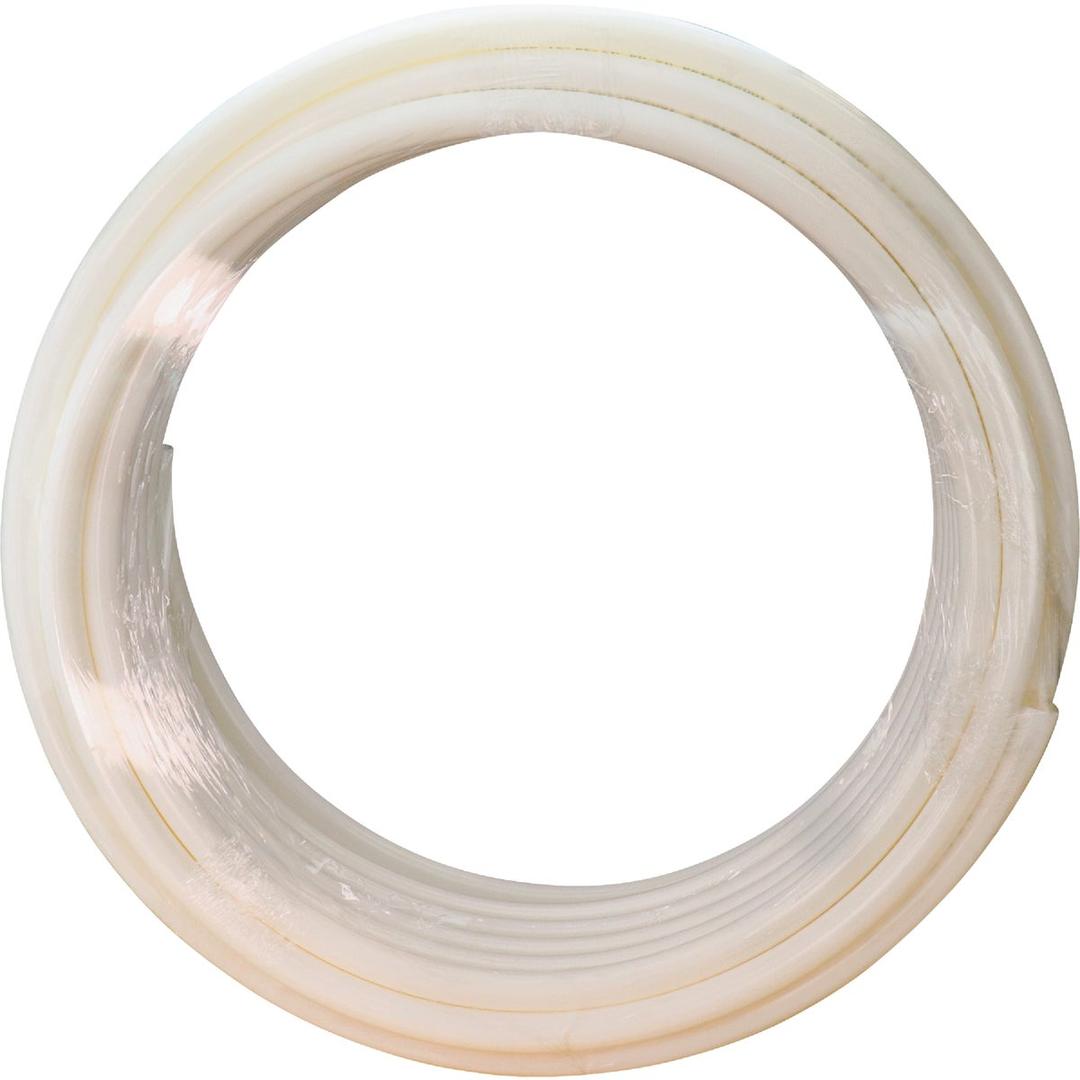Product 405146