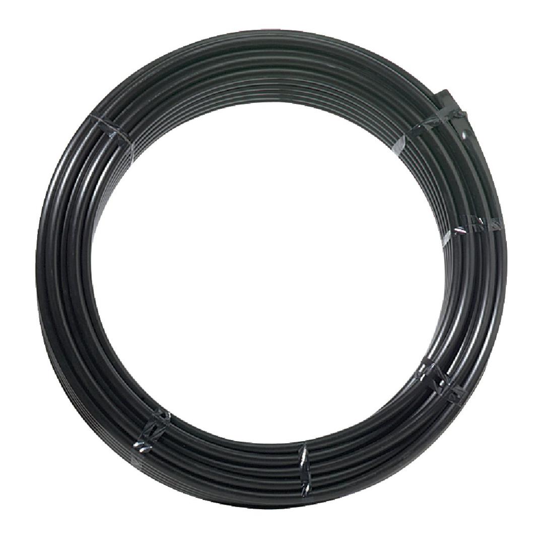 Product 424534