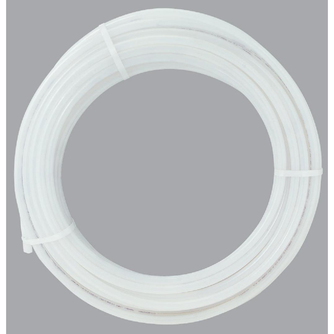 Product 490040
